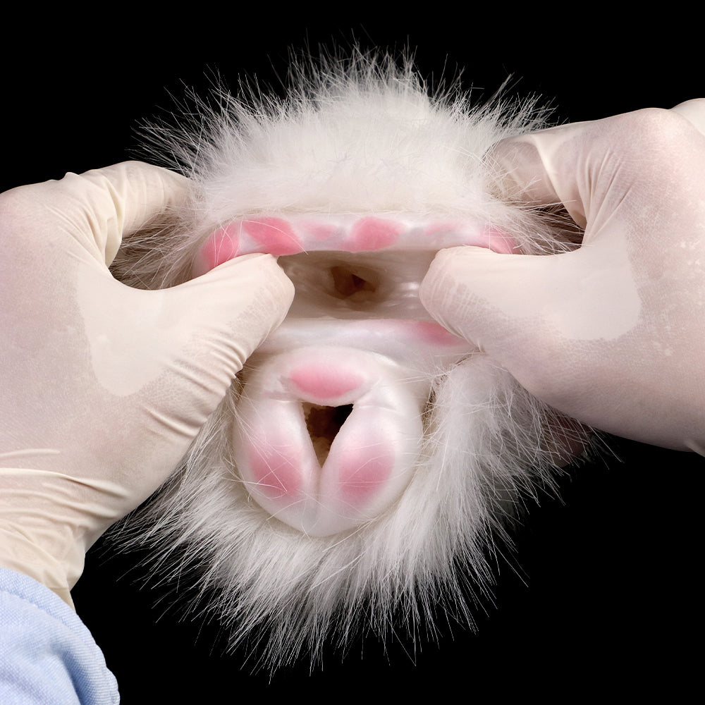 Pocket Pussy Furry Sex Doll - Realistic Guinea Pig Masturbator with White Fur for Men