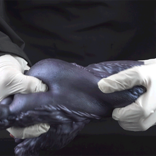 Fantasy Sex Doll with Double Demon Feet – Hidden Silicone Masturbator and Sex Toys for Men