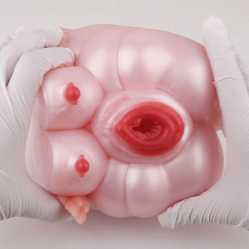 Torso de Boneca Sexual Fantasia "Porquinha Rosa" - Massageador Peniano de Silicone Médico - Brinquedo Sexual para Homens