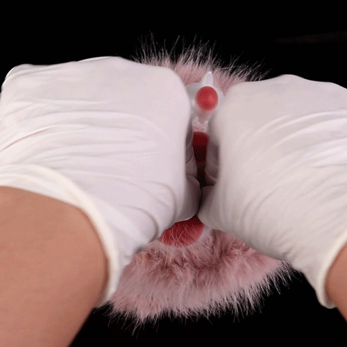 Muñeca Sexual Fantasía con Mano de Gato de Silicona – Masturbación para Hombre con Masaje de Pene