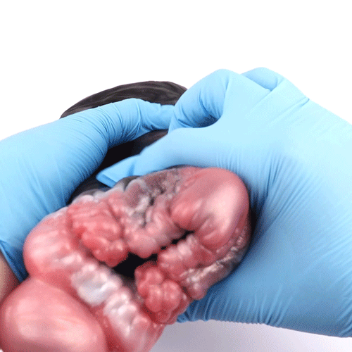 Panda Torso Fantasy Silicone Sex Dolls - Male Masturbator with Fleshy Pad Texture