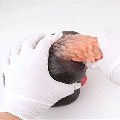 Fantasy Sex Doll "Animal Hips" - Realistic Textured Silicone Toy for Deep Masturbation