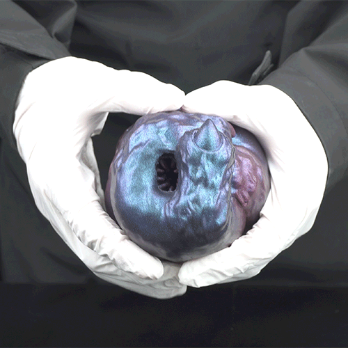 Beast Hand Masturbator with Claws – Silicone Sex Doll for Interspecies Masturbation