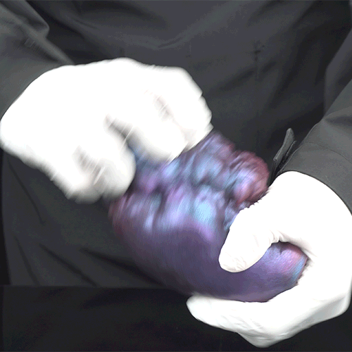 Beast Hand Masturbator with Claws – Silicone Sex Doll for Interspecies Masturbation