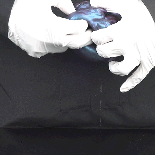 Beast Hand Masturbator with Claws – Silicone Sex Doll for Interspecies Masturbation