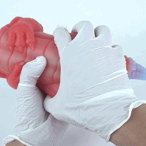 Fantasy Silicone Sex Doll with Dual Channels - Sex Toys for Men and Extreme Masturbation