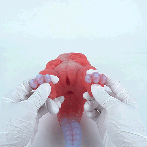 Fantasy Silicone Sex Doll with Dual Channels - Sex Toys for Men and Extreme Masturbation